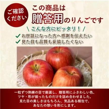 【1月出荷予定】平均糖度13度以上! サンふじ 約3kg 贈答【配送不可地域：離島・沖縄県】【1667987】
