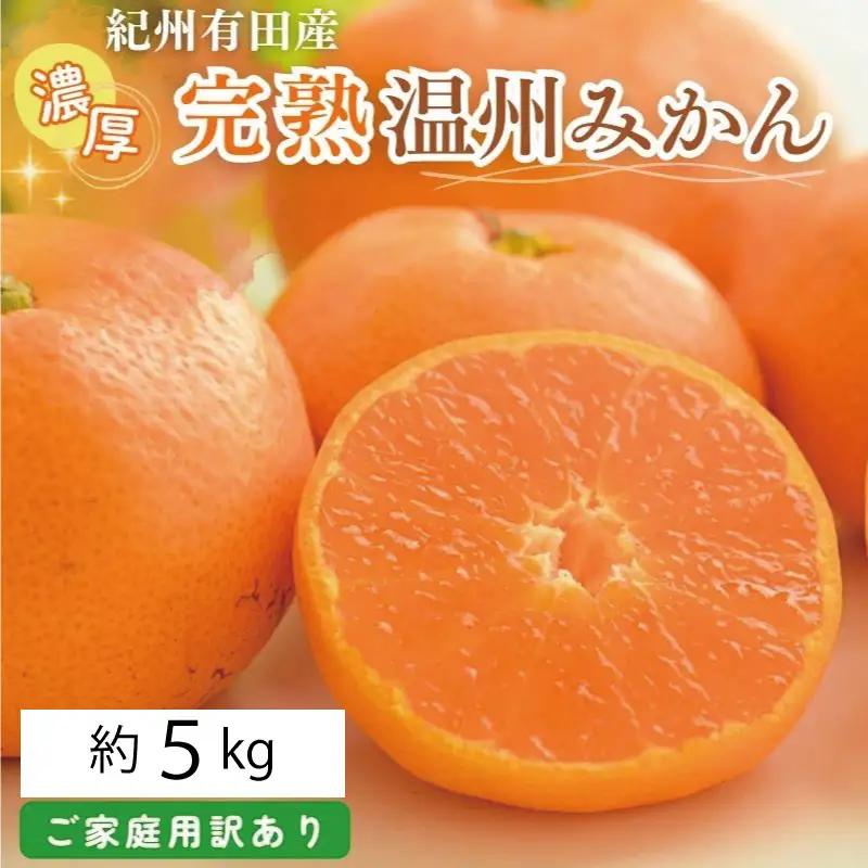 【先行予約】紀州有田産 濃厚完熟 温州みかん 5kg 【家庭用 訳あり】 ※2026年11月下旬～2027年1月下旬頃に順次発送予定 / みかん ミカン 蜜柑 温州みかん 柑橘 フルーツ 果物 くだもの 和歌山【uot003】