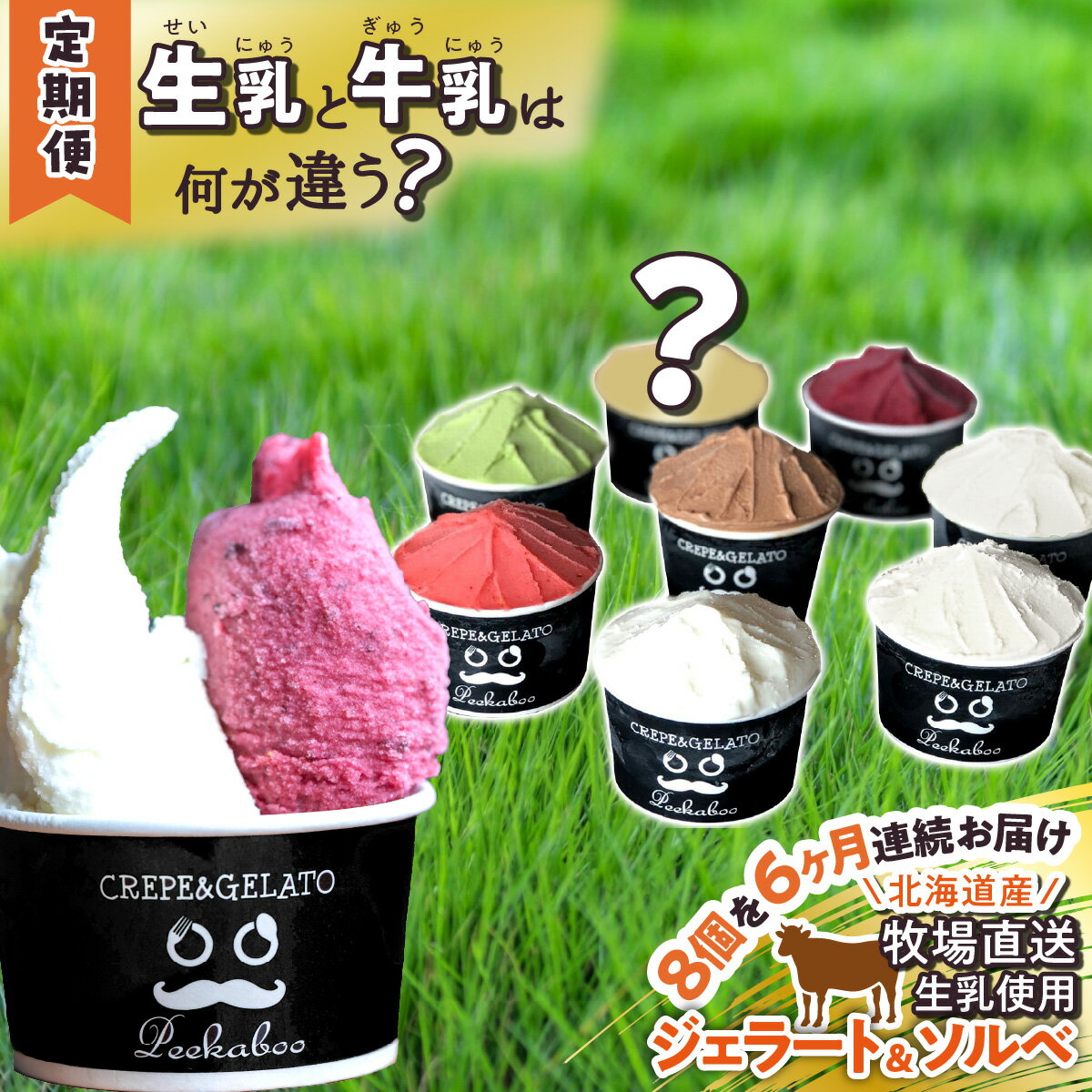 【ふるさと納税】 ＜6ヶ月定期便＞ アイス ジェラート ソルベ 毎月 8個 北海道産 生乳 ジェラートセット スイーツ ミルク カップアイス カップ 詰め合わせ 冷凍 北海道 新ひだか町