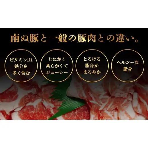 石垣島産 やえやまファームのアグ―豚（南ぬ豚）ハンバーグ10個セット 　E-8-1