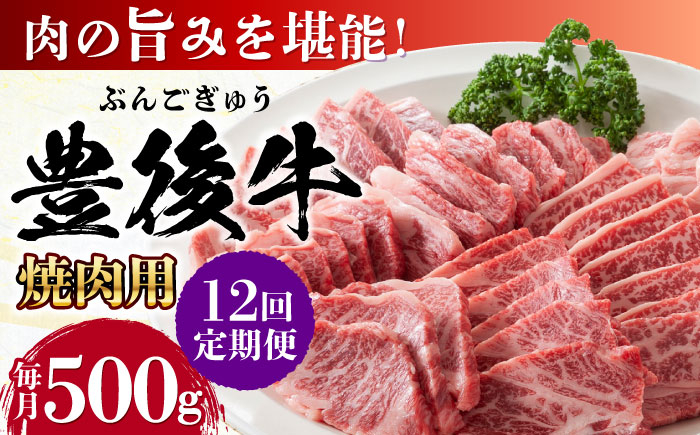 
            【全12回定期便】おおいた豊後牛 焼肉用 500g 日田市 / 株式会社MEAT PLUS　牛 うし 黒毛和牛 和牛 豊後牛 [AREI100]
          