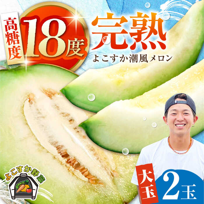 【ふるさと納税】【先行予約】【数量限定50セット】よこすか潮風メロン 大玉4L 2玉セット 計約3kg 【井上農園】めろん メロン くだもの 果物 ネットメロン 贈答 ギフト フルーツ ふるーつ 大玉メロン [AKDJ001]