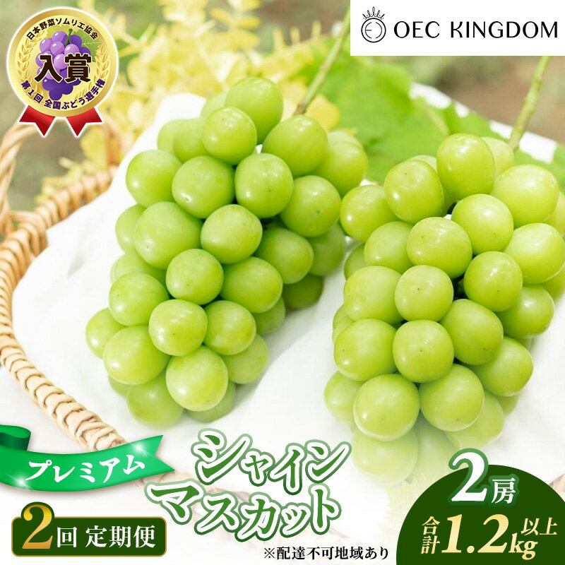 【ふるさと納税】ぶどう 2026年 先行予約 2回 定期便 プレミアム シャインマスカット 2房(1.2kg以上) 贈答クラス ブドウ 葡萄 岡山県産 国産 フルーツ 果物 ギフト OEC KINGDOM ぶどう家 果物類　お届け：2026年8月上旬～2026年9月下旬