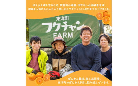 F139【先行予約】ヘルシーぽんかん10kg　柑橘　ジューシー