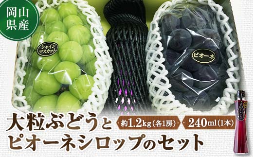 
先行予約 2024年10月発送開始予定 岡山県産 大粒ぶどうとピオーネシロップのセット シャインマスカット TY0-0335
