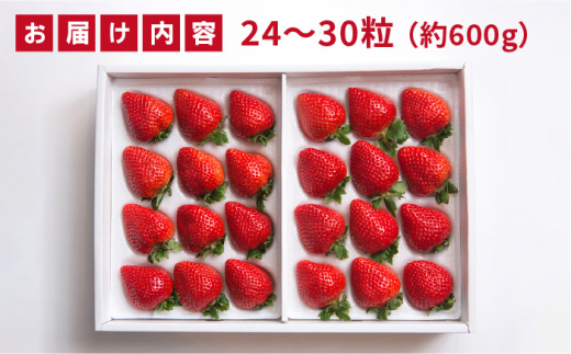 【先行予約】糸島産 あまおう ギフト 箱 ( 24-30粒 ) 【2024年12月上旬以降順次発送】 《糸島》【南国フルーツ株式会社】 [AIK011]