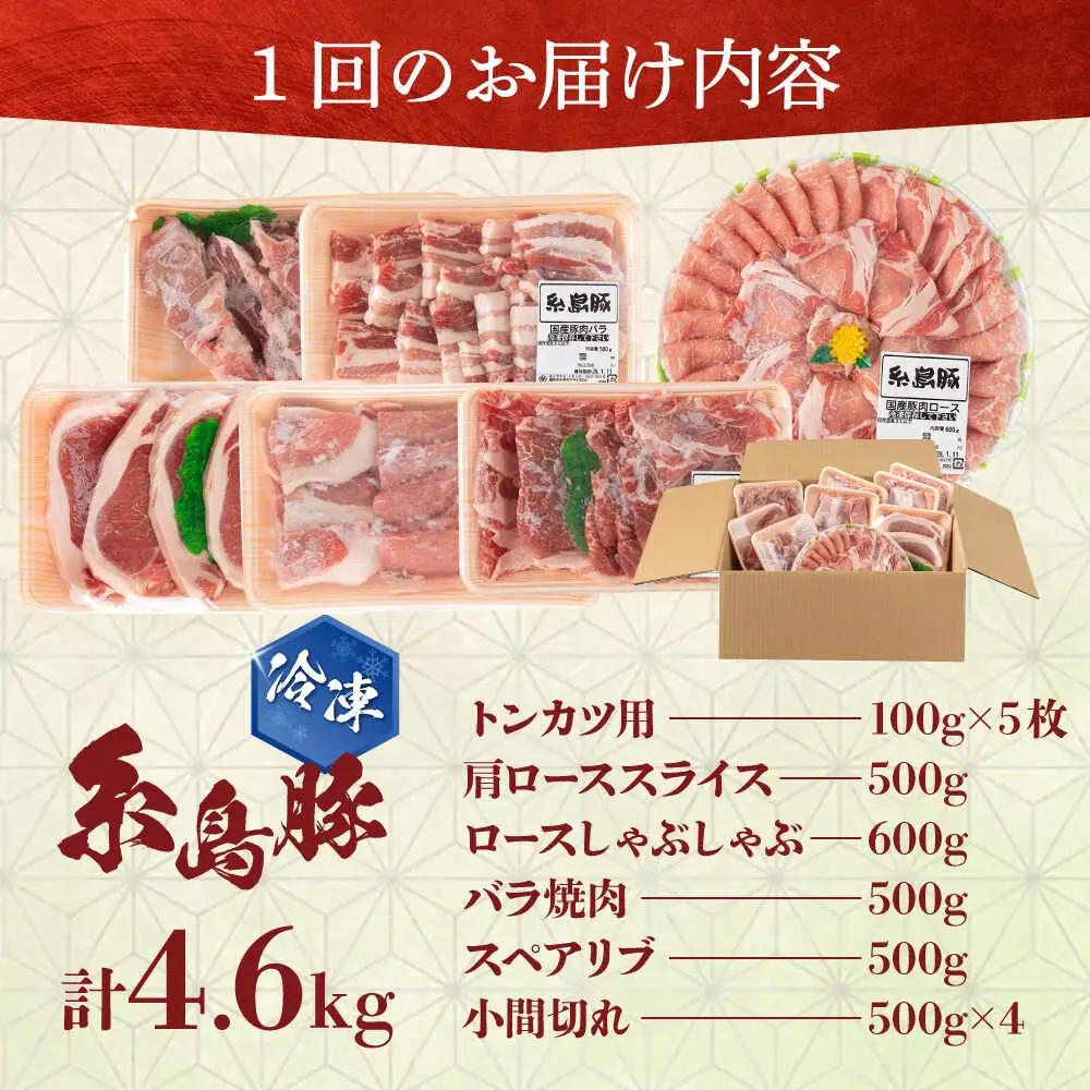 【全3回定期便】合計4.6kg！糸島豚食べ尽くしセット(とんかつ、肩ロース、しゃぶしゃぶ、豚バラ、スペアリブ、小間切れ) 糸島市 / トラヤミートセンター 豚肉 セット[AJD023]