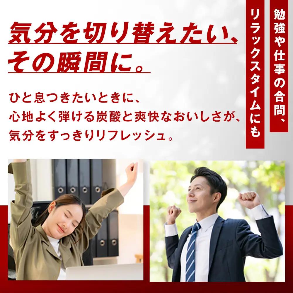 コカ・コーラ 500mlPET×24本　【11100-0519】リフレッシュ 炭酸飲料 ケース 箱買い まとめ買い 備蓄 飲料 ソフトドリンク ギフト ふるさと納税 さいたま市 常備 差し入れ 景品 