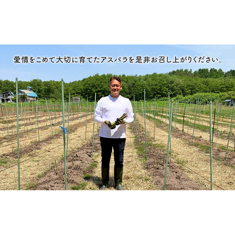 夏アスパラガス 約1.2kg ＋100g M～L 混合 古川農園 ※オンライン決済限定 野菜 アスパラガス アスパラ 栄養豊富 ほんのり甘い 肉質しっかり あっさりとした食味  おつまみ 料理 お弁当