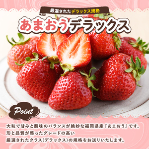 《先行予約受付中・数量限定》＜定期便・全3回(3月・5月・7月)＞2025年3月からお届け！あまおう贅沢セット No.2(あまおう：計約500g 冷凍いちご：1.5kg レアチーズケーキ：計600g)