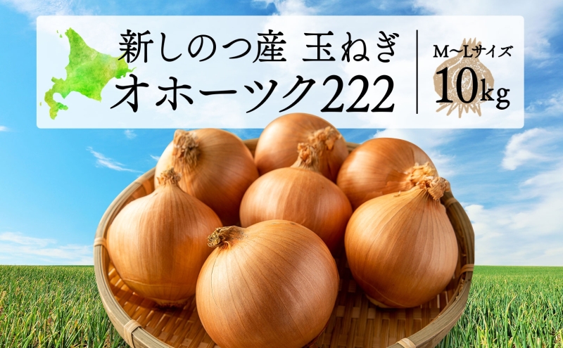 北海道 新しのつ産 玉ねぎ  M-L サイズ混合 約10kg オホーツク