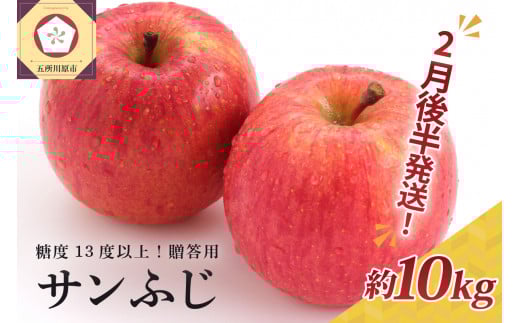 【2026年2月後半発送】 りんご 約10kg サンふじ 青森産 糖度 13度以上　贈答用 特選～特秀