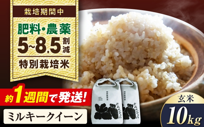 
                  【令和8年産 新米】米 ミルキークイーン  10kg（5kg× 2） 玄米  特別栽培米  長浜市/株式会社お米の家倉 [AQCP021] 米 お米 玄米  10kg  ミルキークイーン 特別栽培米  滋賀県産 長浜市産 こめ お米  食品 国産 炊きたて 米ギフト もちもち ブランド米  食卓 美味しい 人気 ごはん ご飯 おにぎり 炊き込みご飯 おすすめ プレゼント 贈答
                