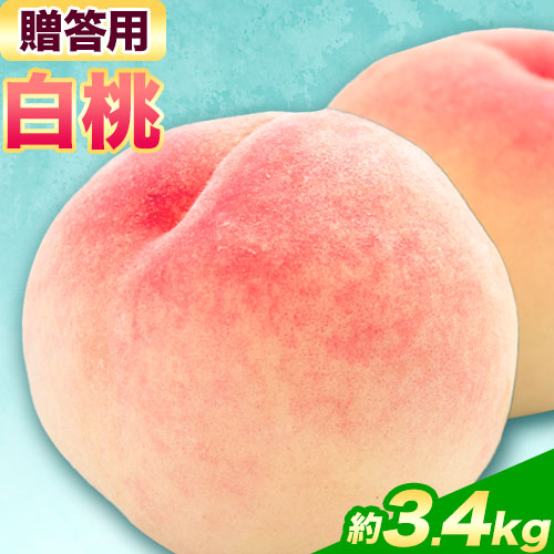 【令和7年度先行予約】贈答用 桃 内容量 3.4kg ハレノフルーツ （犬塚農園） 《2026年6月末-8月中旬頃出荷》岡山県 浅口市 フルーツ モモ 果物 青果 旬 おかやま夢白桃 白麗 白鳳 清水白桃 なつごころ 加納岩白桃【配送不可地域あり】