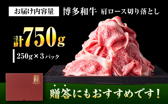 【A4～A5】 博多和牛 大判霜降り 贅沢切り落とし 750g (250g×3P) 吉富町/株式会社MEAT PLUS [BGAB110]