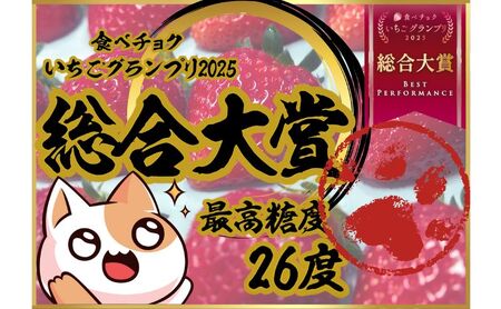 大粒いちご 15粒入りセット [ いちご イチゴ 苺 フルーツ 果物 新鮮 糖度 ] 果物類 
