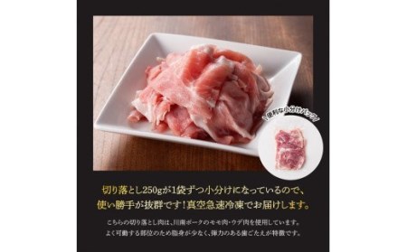 川南ポーク豚肉切り落とし2.25kg（250g×9袋）【 豚肉 豚 肉 切落し 九州産豚肉 国産豚肉 宮崎県産豚肉 豚肉切り落し 】