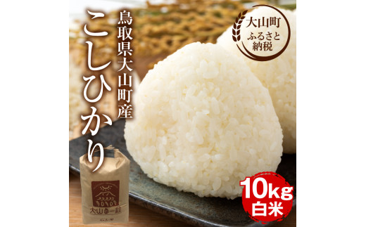 MS-98 大山町産こしひかり【大山の一粒】10ｋｇ（白米）