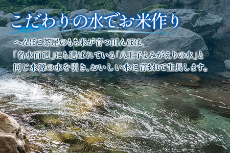 へんぽこ茶屋つきたてよもぎ生餅(10個入り2パック)　HE057_001