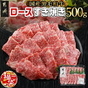 【ふるさと納税】【新春福袋★2025】【黒毛和牛】ロースすき焼き用500g - 国産黒毛和牛 ロースすき焼き 500g ロース肉 しゃぶしゃぶ すき焼き 期間限定 福袋 送料無料 AO-I901-F2025【宮崎県都城市は2年連続ふるさと納税日本一！】