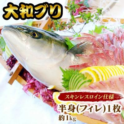ふるさと納税 延岡市 【大和ブリ】半身(フィレ)約1.0kg×1枚　スキンレスロイン仕様