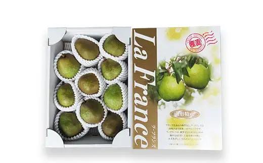 【令和8年産先行予約】 ラ・フランス 約3kg (10～11玉 秀 3L以上) 《令和8年11月上旬～発送》 『田口農園』 ラフランス 西洋梨 洋なし 果物 フルーツ デザート 山形県 南陽市 [12