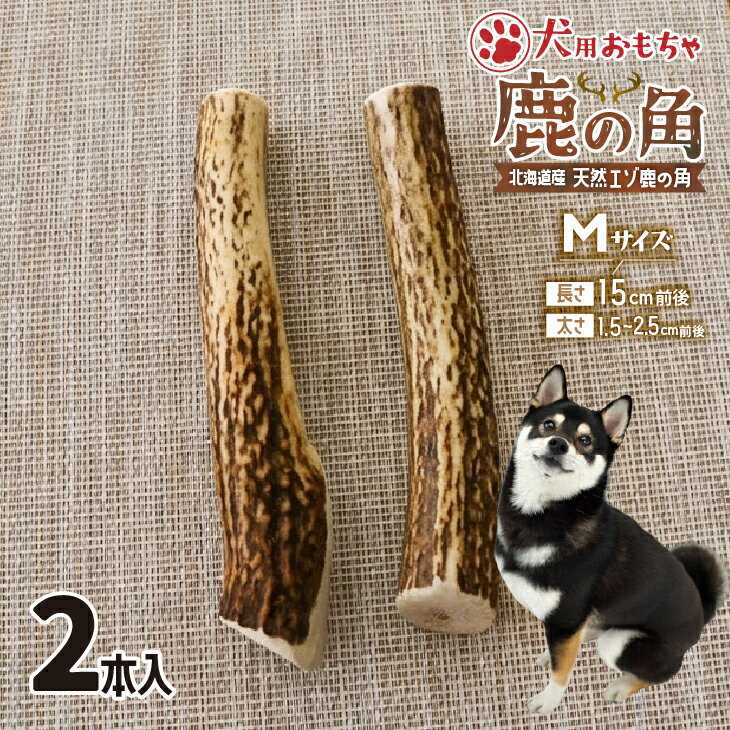 【ふるさと納税】犬用「鹿の角」Mサイズ×2本[53-1596] 北海道 浦河 ふるさと納税 鹿の角 鹿 犬用 ワンちゃん おもちゃ 玩具 デンタルケア 送料無料