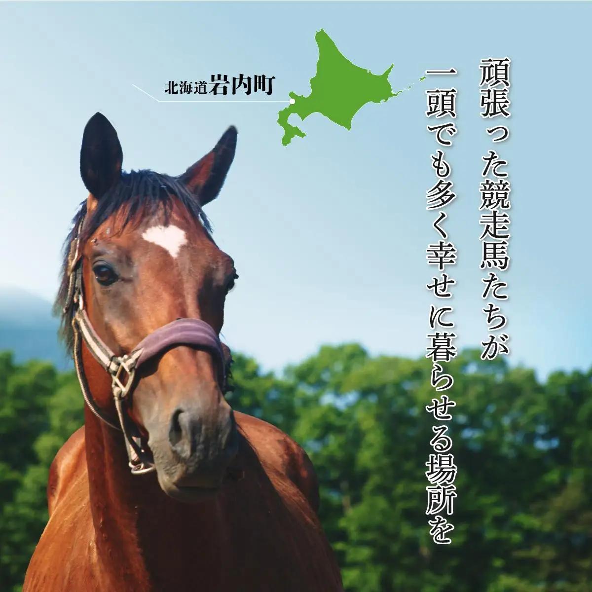 ホーストラスト北海道引退馬支援 3000円分