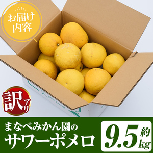 ＜先行予約受付中！2027年2月下旬以降順次発送予定＞訳あり！まなべみかん園のサワーポメロ (約9.5kg) 国産 鹿児島県産 阿久根市産 柑橘類 みかん ミカン 蜜柑 果物 フルーツ サワーポメロ 