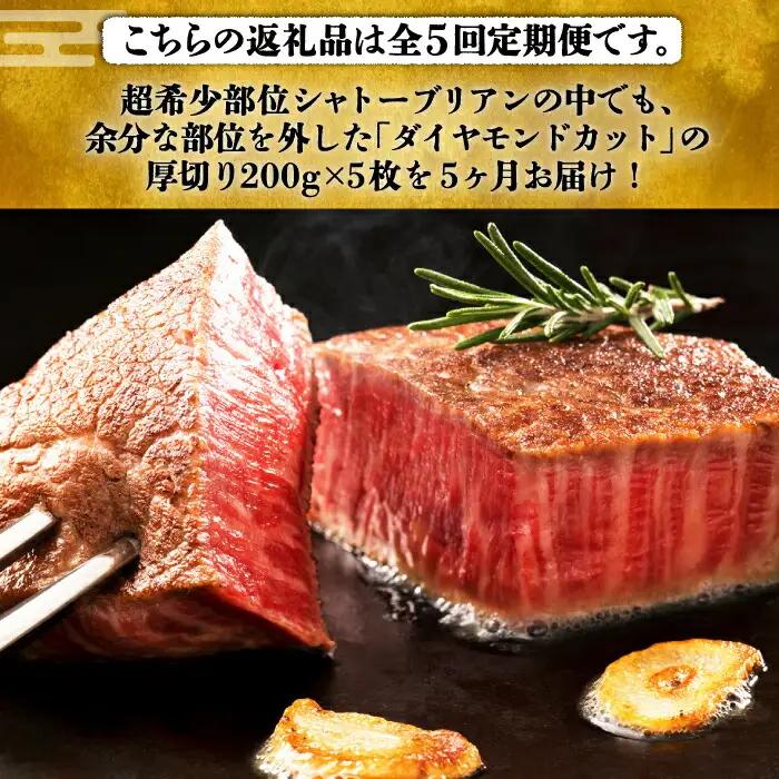 【全5回定期便】博多和牛 牛肉 ヒレ シャトーブリアン 200g×5枚 VBK031 シャトーブリアン