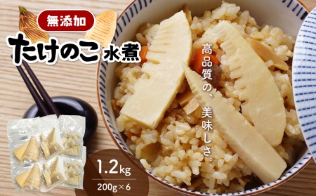 無添加高品質 タケノコ 1.2kg