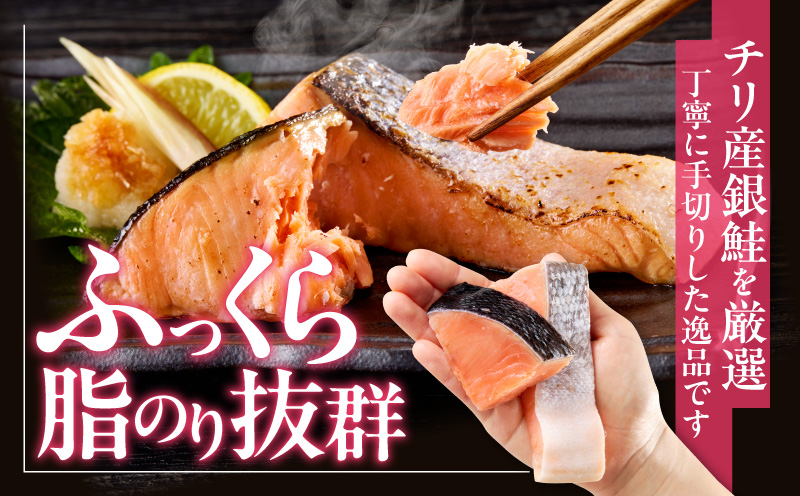 【定期便】銀鮭 切身 約50g×20切れ 全6回【お弁当サイズ 小分け 漁師 手切り 1kg さけ サケ 切り身 弁当 朝食 時短 訳あり サイズ不揃い 規格外 冷凍食品】 G4011