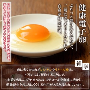 【令和6年お歳暮対応】 化粧箱 入り！健康電子卵 赤卵 Lサイズ 60個（10個×6パック）（うち、割れ保証分10個）国産 鹿児島県産 鶏卵 1パック10個入りで使い勝手がいい！【SA-229H】