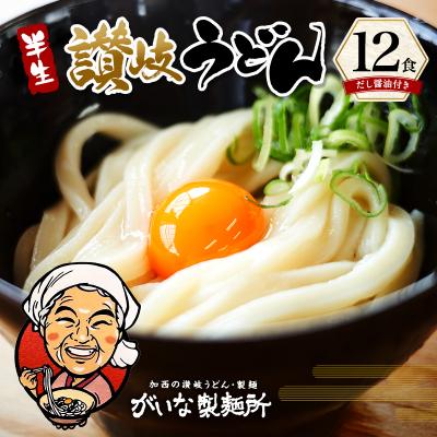 ふるさと納税 加西市 加西市で行列ができる『がいな製麺所』の 讃岐うどん セット こんぶ醤油付き[No5698-0009]