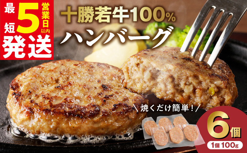 
最短5営業日以内発送！選べる発送時期！牛肉 100％使用！ハンバーグ 100g × 6個 国産ハンバーグ 小分け 牛肉 ハンバーグ 簡単調理 惣菜 おかず ハンバーグ お弁当 焼くだけ 牛肉ハンバーグ 牛 肉 十勝若牛 冷凍 _S003
