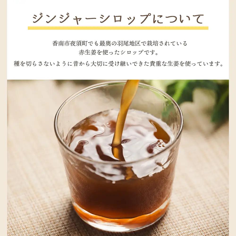 【定期便／年2回お届け】 香南市ジンジャーシロップ 生姜 (150ml)×3本セット 定期便 Wyr-0128