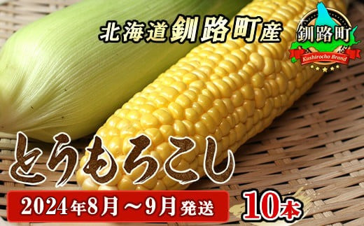 
野菜王国　釧路町産 【とうもろこし】10本 ＜2024年8月～9月発送＞ 国産 産地直送 旬 季節の野菜 詰め合わせ セット ワンストップ オンライン申請 オンライン 申請
