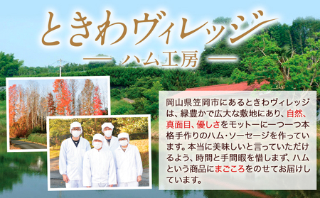 手作りソーセージの贅沢詰め合わせセット K-04