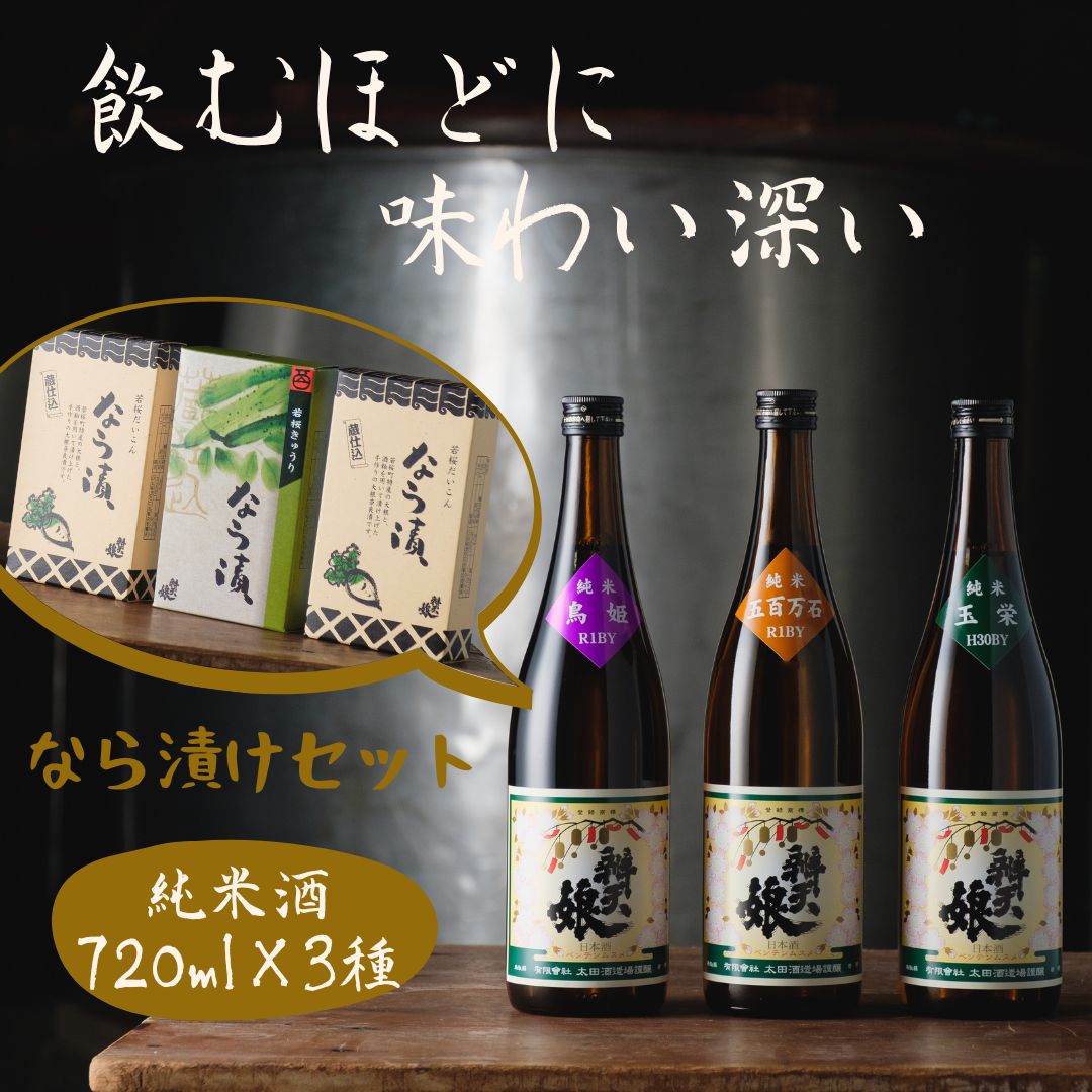 【ふるさと納税】辨天娘（純米酒）720ml×3種・なら漬セット [52]