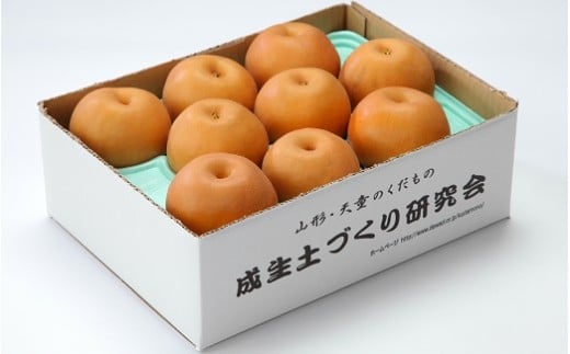 08-05-040　和梨2.5kg：品種おまかせ