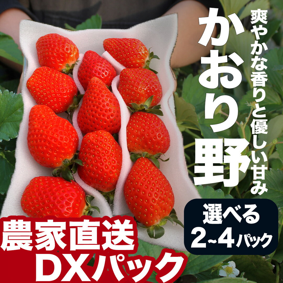 【ふるさと納税】【先行予約】【2026年3月から5月発送予定】完熟いちご280g 2パック 4パック DXパック かおり野 送料無料 みなみのいちご園 生いちご イチゴ 苺 甘い かおり野 糖度 人気 大人気 おすすめ 静岡 いちご 果物 フルーツ 南伊豆町産 静岡