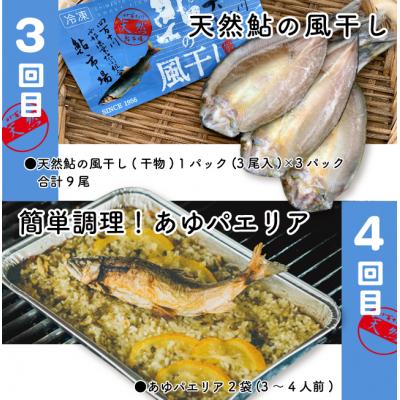 ふるさと納税 四万十市 【4回定期便】鮎づくし!清流四万十川で育った天然鮎の定期便 R6 |  | 02