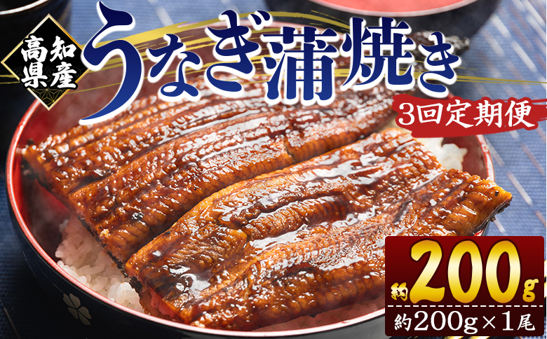 【３回定期便】高知県産養殖うなぎ蒲焼き 約200g×１尾 Wfb-0046