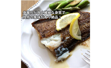 【鱗、内臓処理】赤舌平目 2尾（1尾、約250g～300g）れんちょうがれい レンチョウ