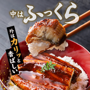 国産うなぎの蒲焼き 大サイズ×2尾 _T08106