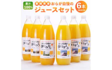 【愛媛県産】愛媛県産 おらが自慢の伊方ジュース 2種セット 合計6本 1L×6本 みかん3本 きよみ3本 1000ml ストレート 果汁100％ 名産品 ドリンク 飲料 ジュース フルーツジュース 果物ジュース 飲み物 愛媛県 【2024年4月上旬より順次発送開始】 【えひめの町（超）推し！（伊方町）】（286）