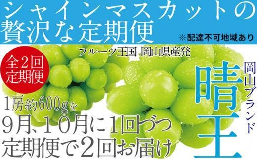 ぶどう 2025年 先行予約 9月・10月発送 シャイン マスカット 晴王 1房 約600g×2回  | シャインマスカット シャイン マスカット 果物 フルーツ 新鮮 ブドウ 葡萄  岡山 国産 ギフト おすすめ 人気