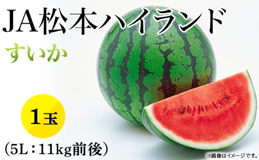 1813【5L】JA松本ハイランドすいか1玉 （約11kg）【2026年7月中旬～8月上旬発送】