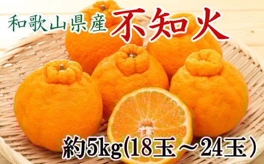 和歌山県産不知火約5kg（18玉～24玉おまかせ） ※2026年2月下旬～2026年4月中旬頃に順次発送予定（日付指定不可）【tec956】