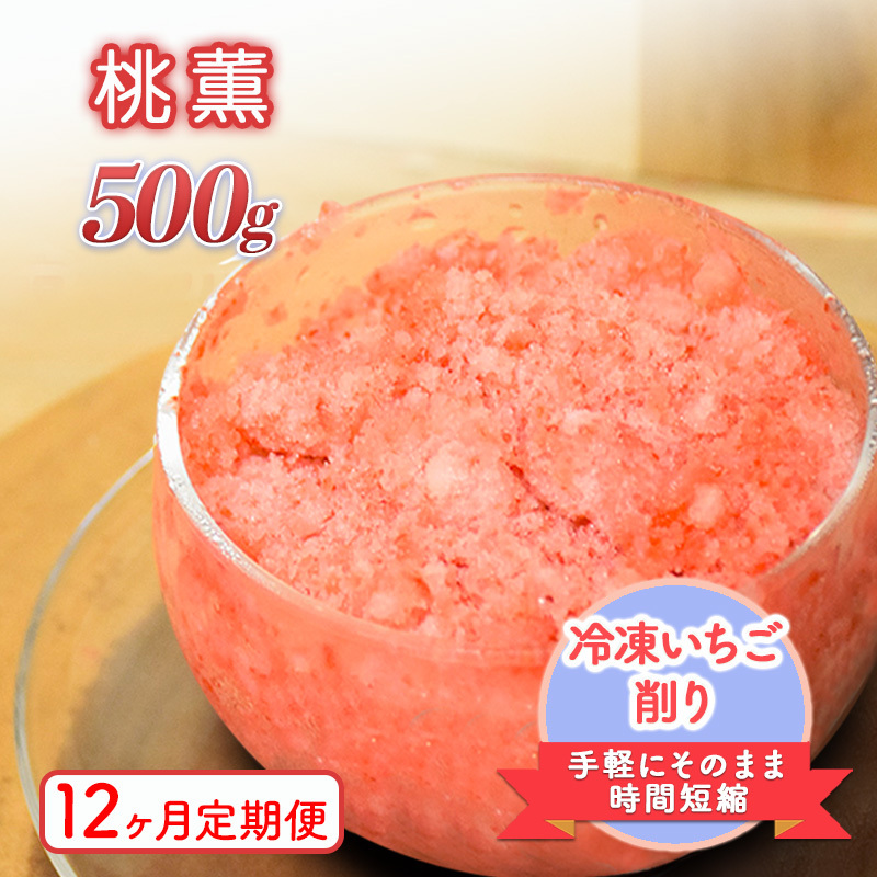 削りいちこ゛桃薫500g 12ヶ月定期便 冷凍 イチゴ 苺 果物 フルーツ 新潟 苺の花ことば